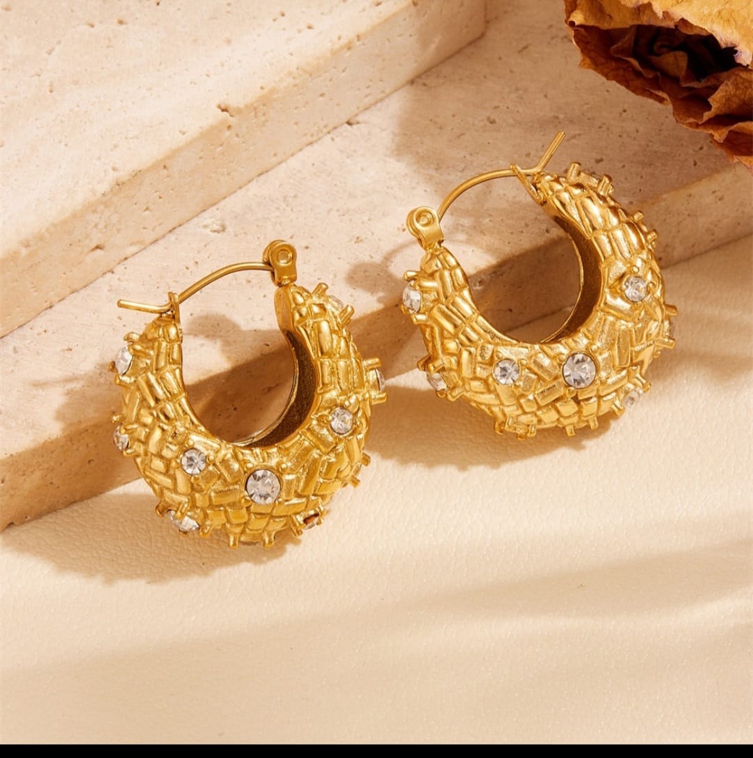 Premium Stainless Steel Crystal Hoop Earrings